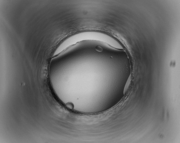 X0000099500017200805291138