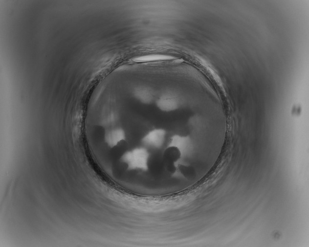 X0000099500018200805291138