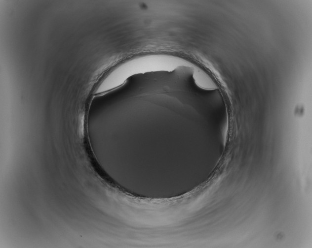 X0000099500019200805291138