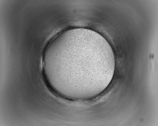 X0000099500020200805291138