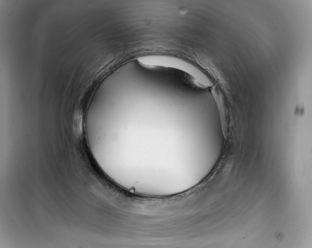 X0000099500021200805291137