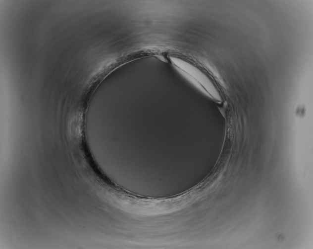 X0000099500023200805291137