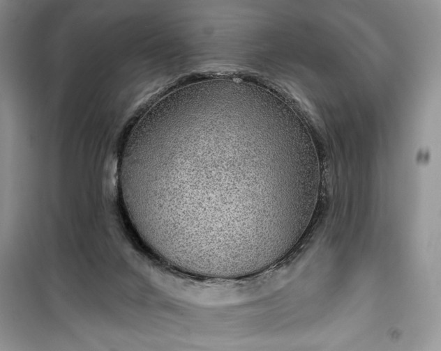 X0000099500024200805291137