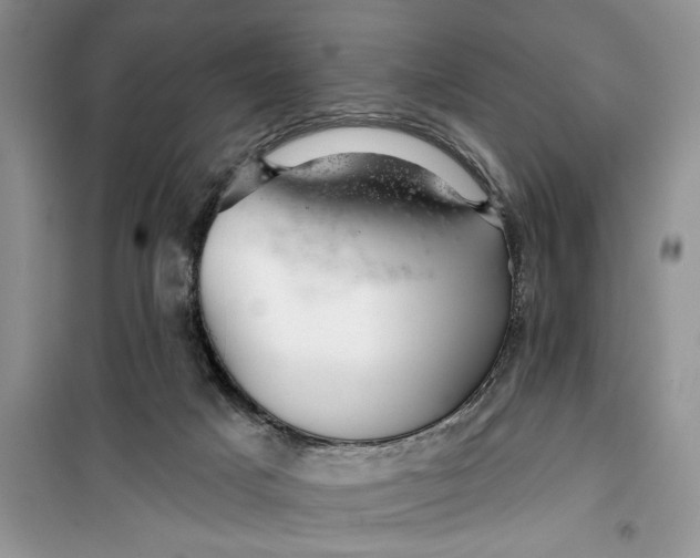 X0000099500025200805291137