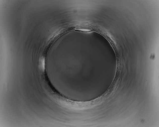 X0000099500027200805291137