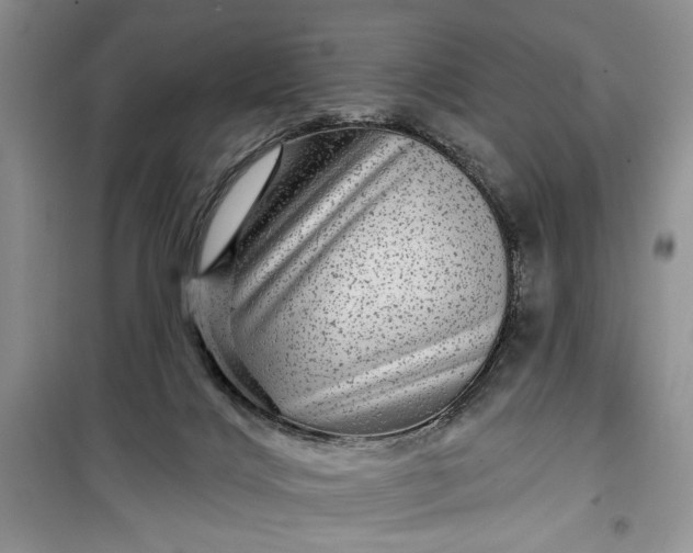 X0000099500028200805291137