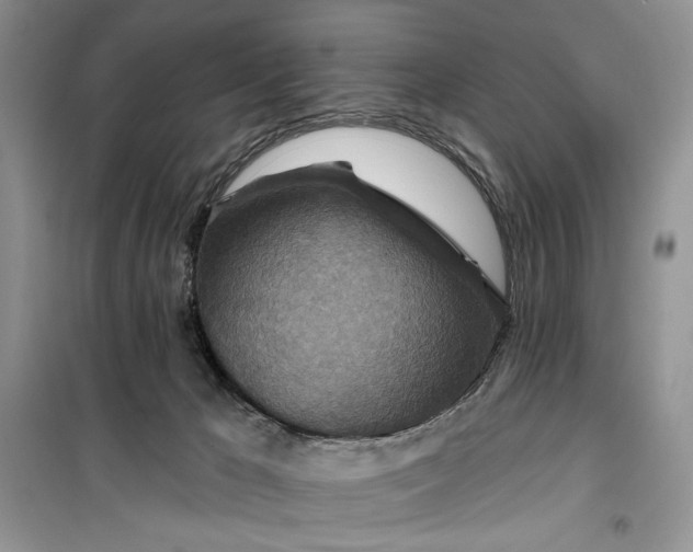 X0000099500029200805291137