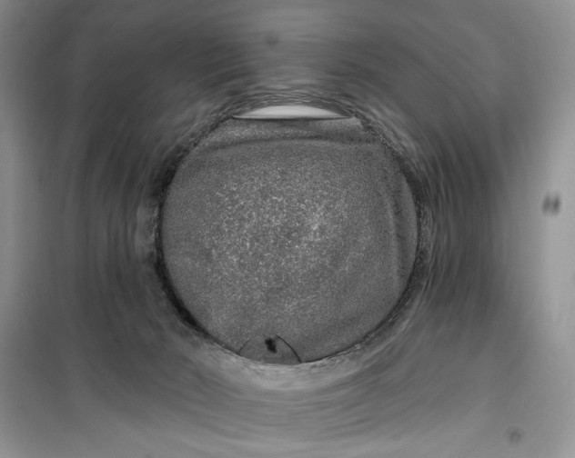 X0000099500030200805291137