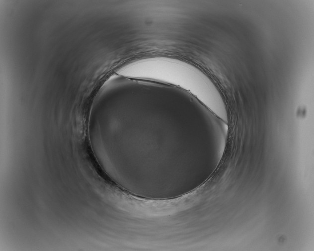 X0000099500031200805291137