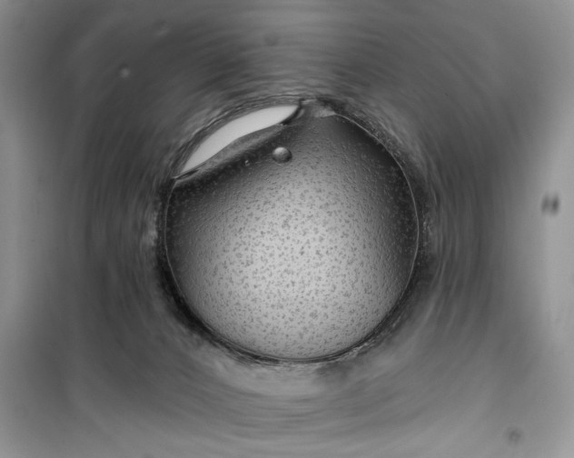 X0000099500032200805291137