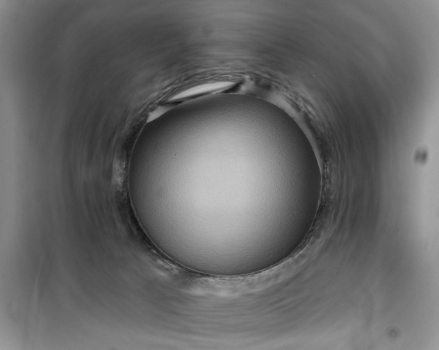 X0000099500033200805291137