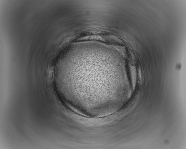 X0000099500034200805291137