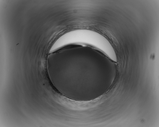 X0000099500035200805291137