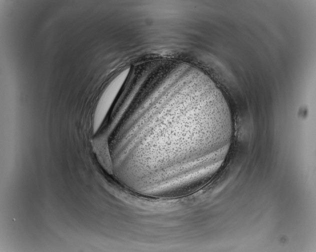 X0000099500036200805291137