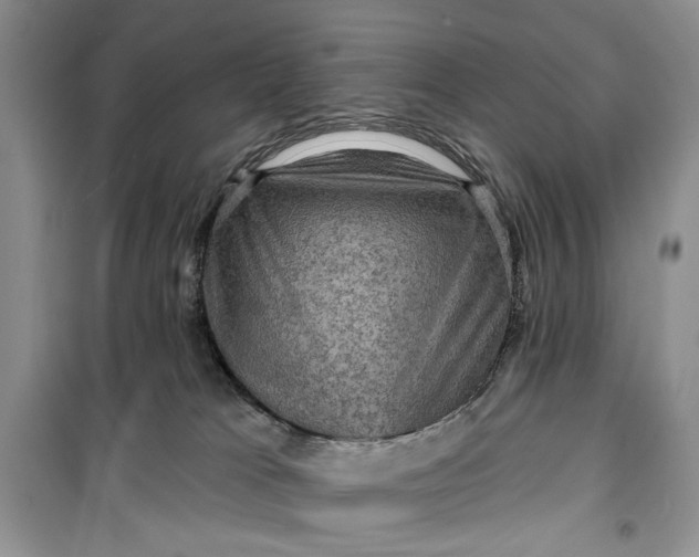 X0000099500037200805291137