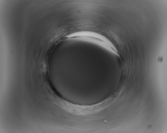 X0000099500039200805291137