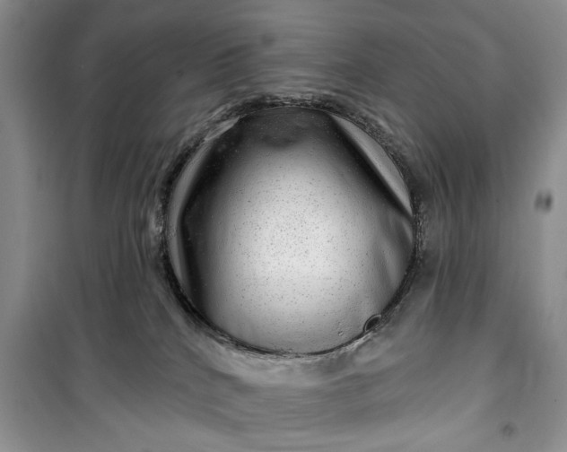 X0000099500040200805291137