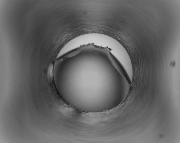 X0000099500041200805291137