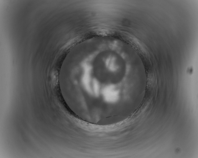 X0000099500043200805291137