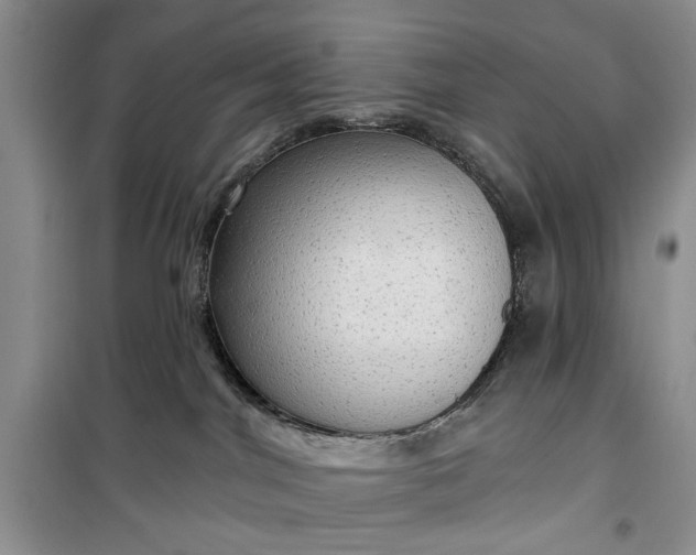 X0000099500044200805291137