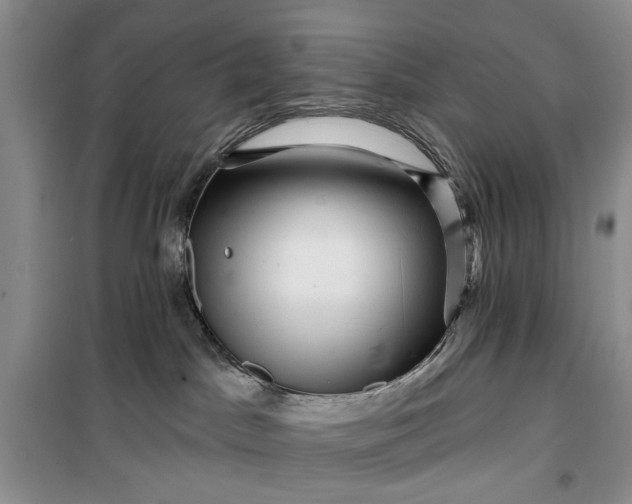 X0000099500045200805291137