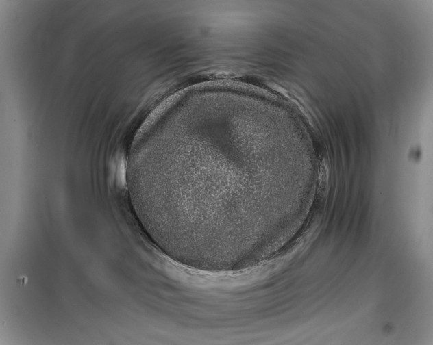 X0000099500046200805291137