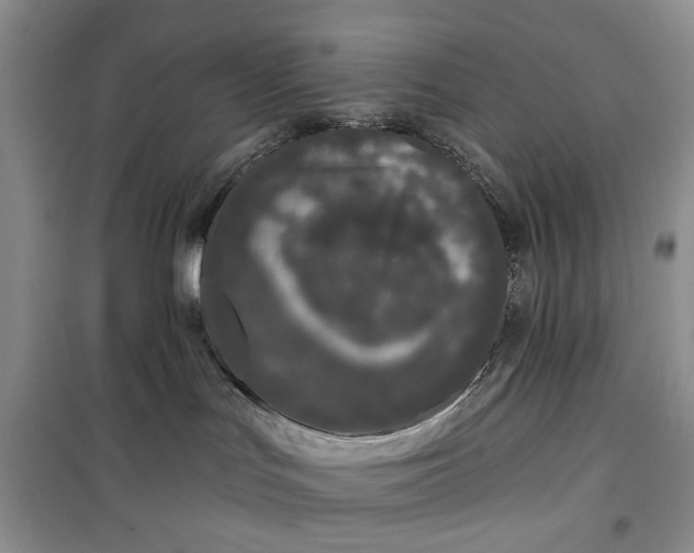 X0000099500047200805291137