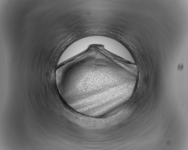 X0000099500048200805291137