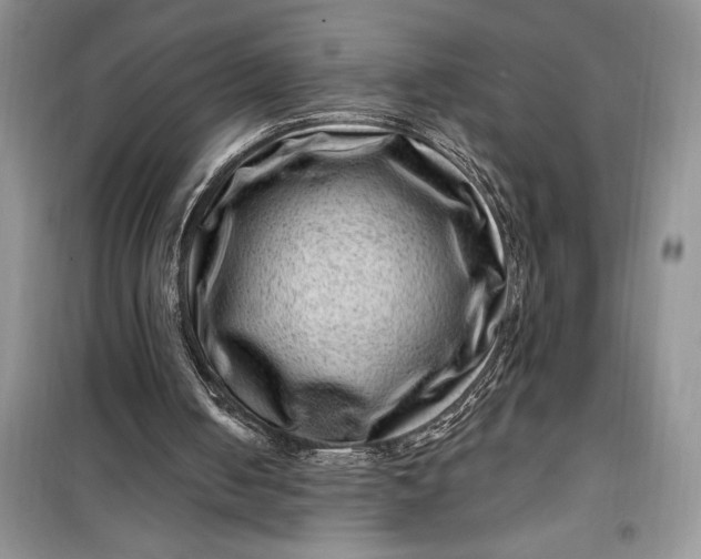 X0000099500050200805291137