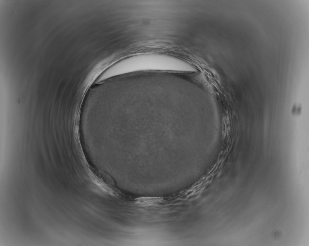 X0000099500051200805291137