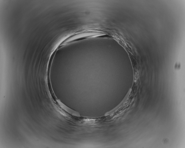 X0000099500052200805291137