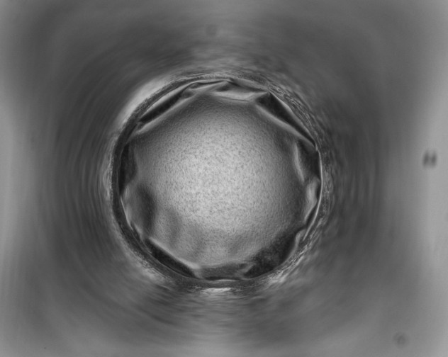 X0000099500054200805291137