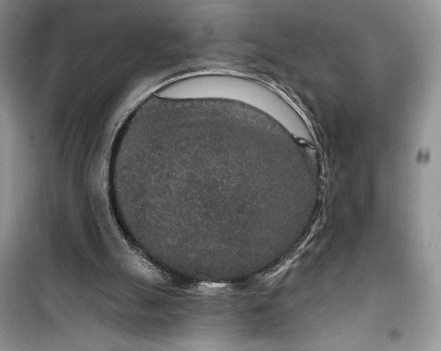 X0000099500055200805291137