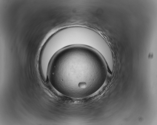 X0000099500056200805291137