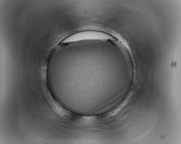 X0000099500057200805291137