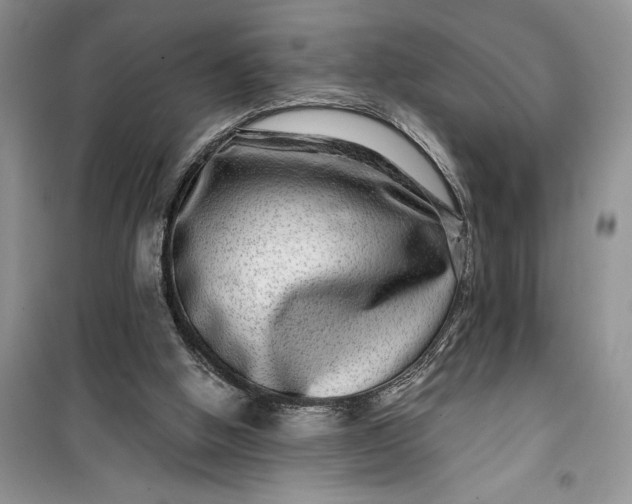 X0000099500058200805291137