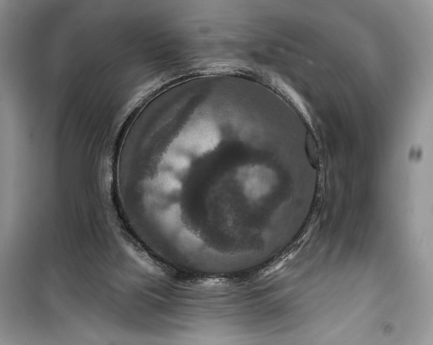 X0000099500059200805291137