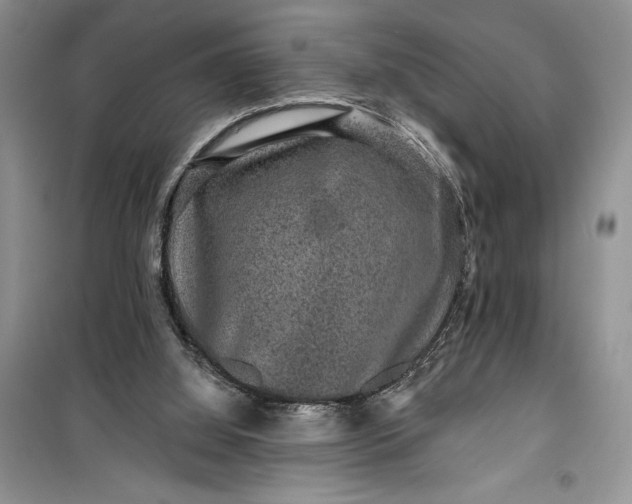 X0000099500060200805291137