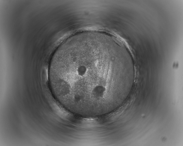 X0000099500061200805291137