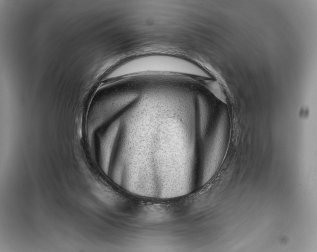 X0000099500062200805291137