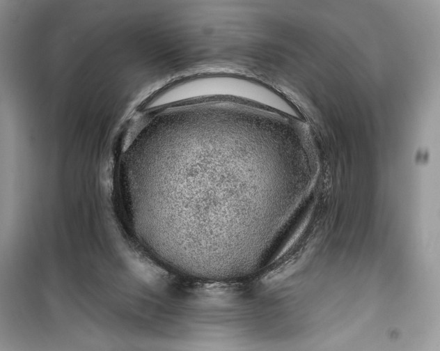 X0000099500064200805291137