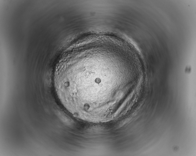 X0000099500065200805291137