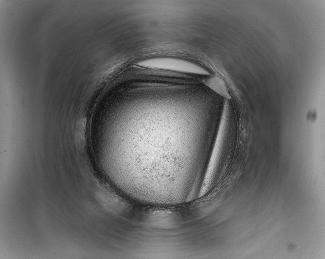 X0000099500066200805291137