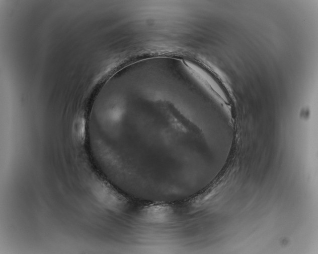 X0000099500067200805291137