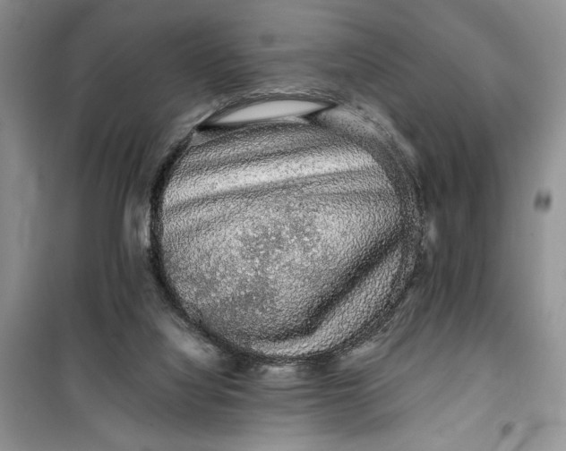 X0000099500068200805291137