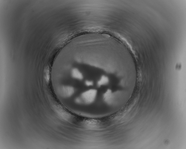 X0000099500069200805291137