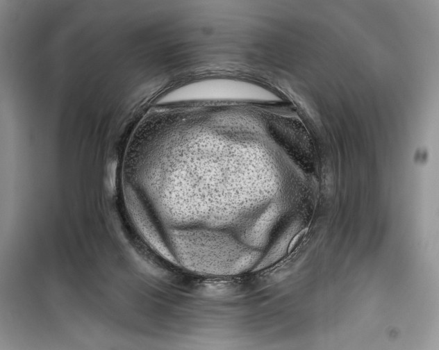 X0000099500070200805291137