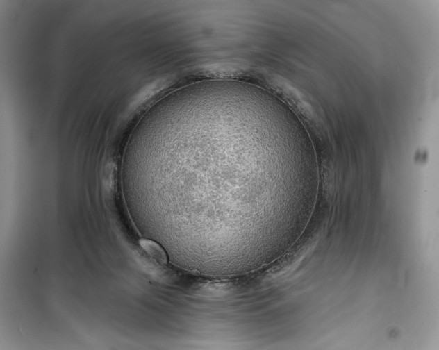 X0000099500071200805291137