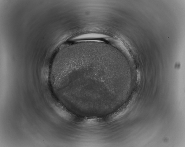 X0000099500072200805291137