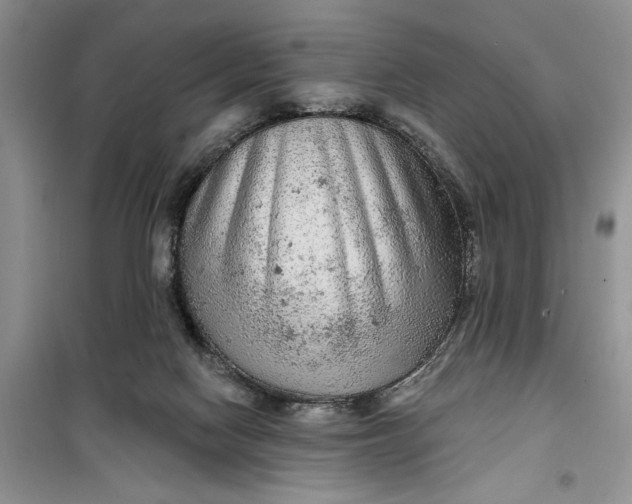 X0000099500074200805291137